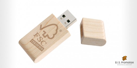 USB Stick Natura